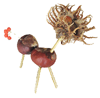 animaletti del bosco fatti con le castagne matte