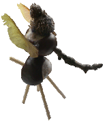 animaletti con le castagne matte