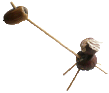 costruire giocattoli con le castagne